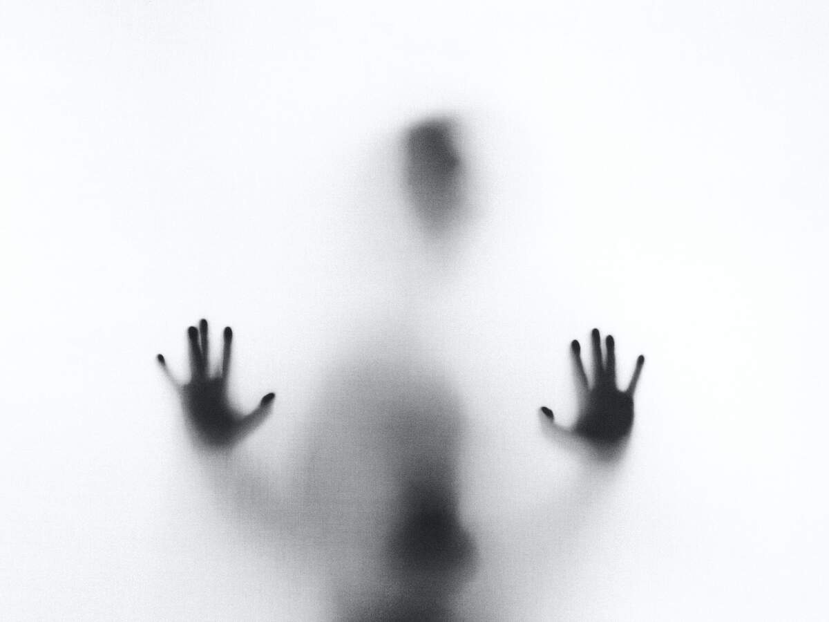 Photo : Stefano Pollio via Unsplash 