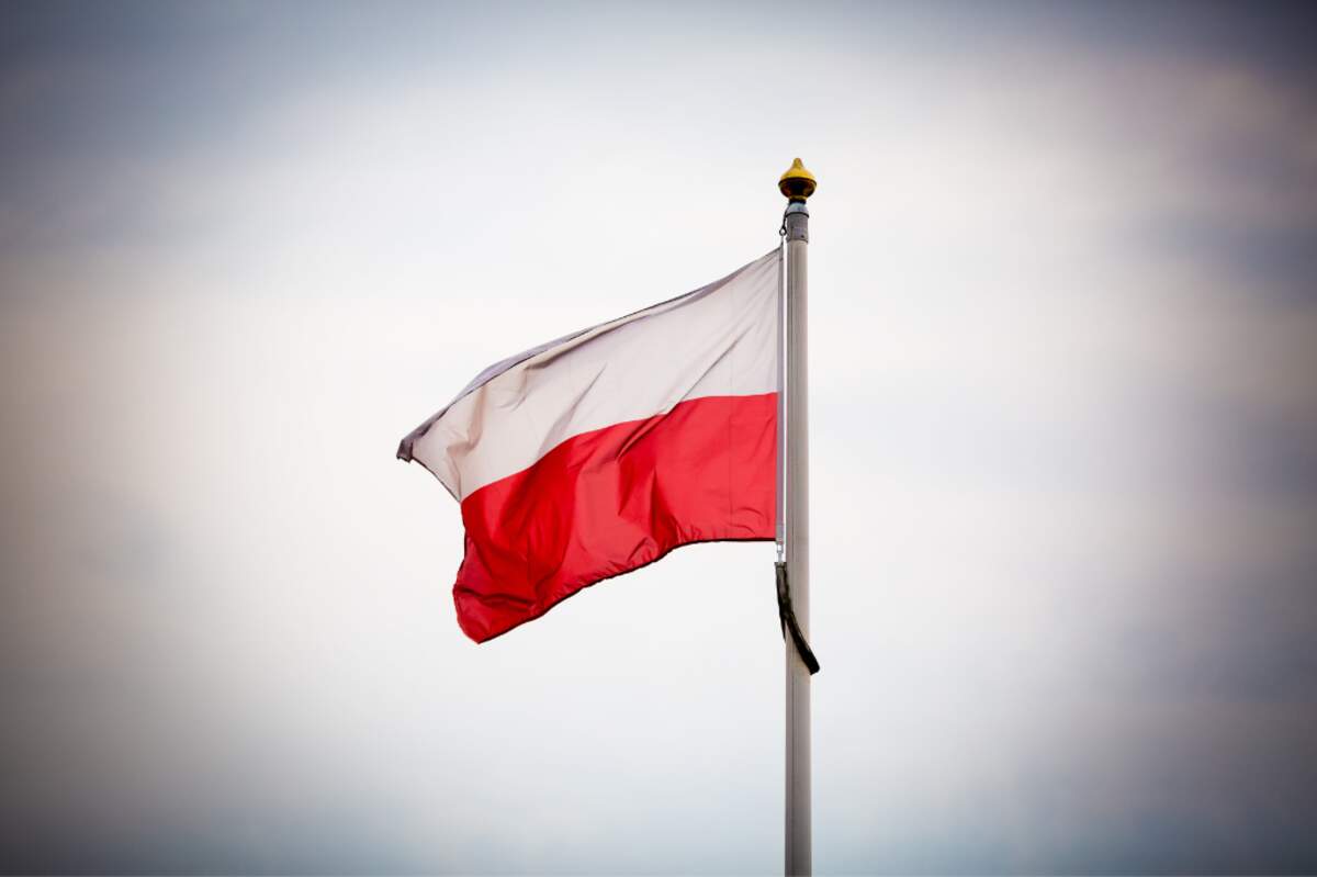 Crédit : Canva