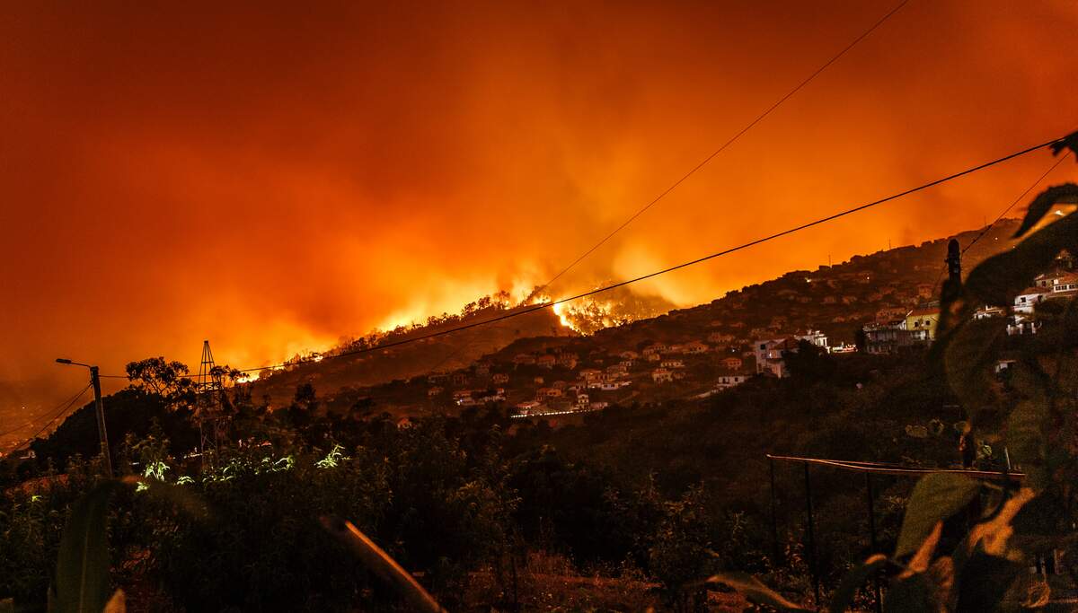 Incendie au Portugal (2016). | Photo : Michael Held via Unsplash 