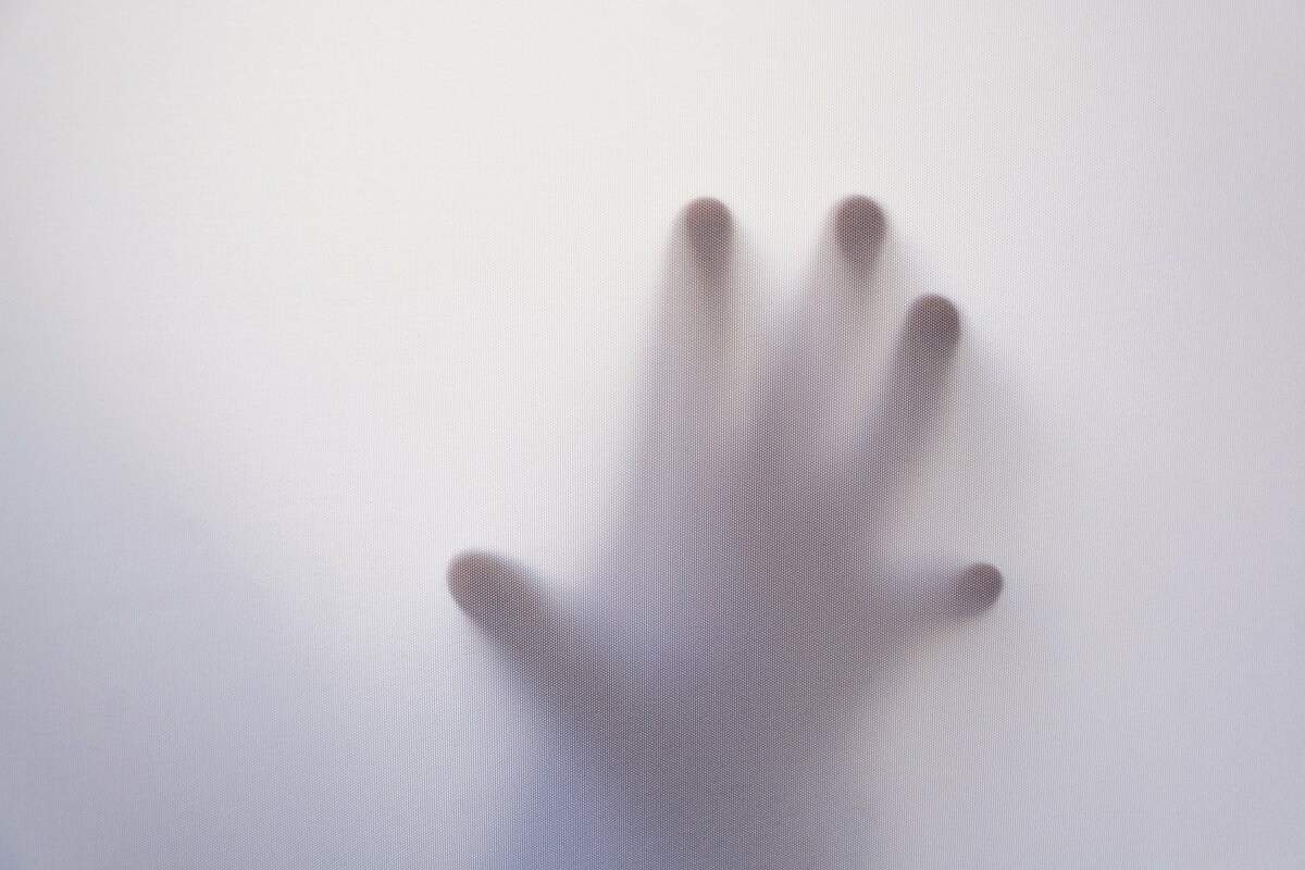 Image par Pedro Figueras de Pixabay