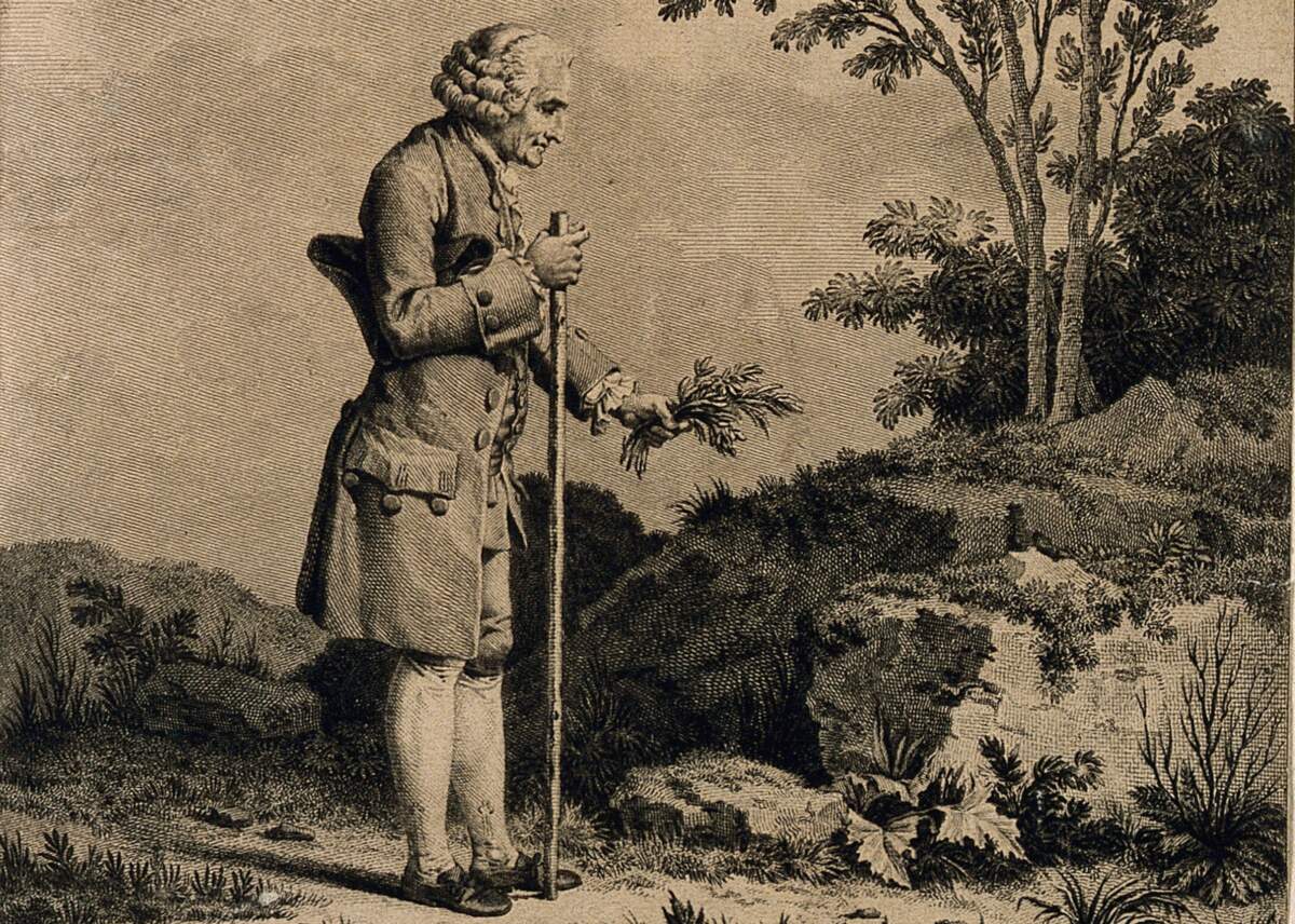 Gravure : Jean-Jacques Rousseau. Crédit : Wellcome Library, London. Wellcome Images | CC BY 4.0  