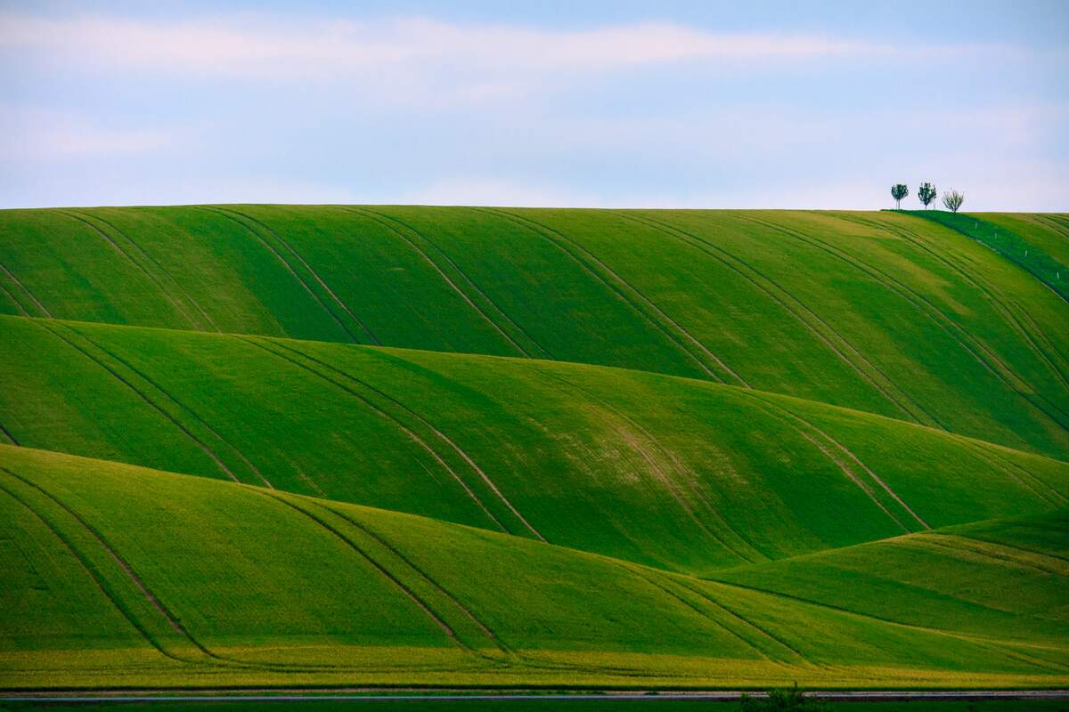 Photo de Dawid Zawiła