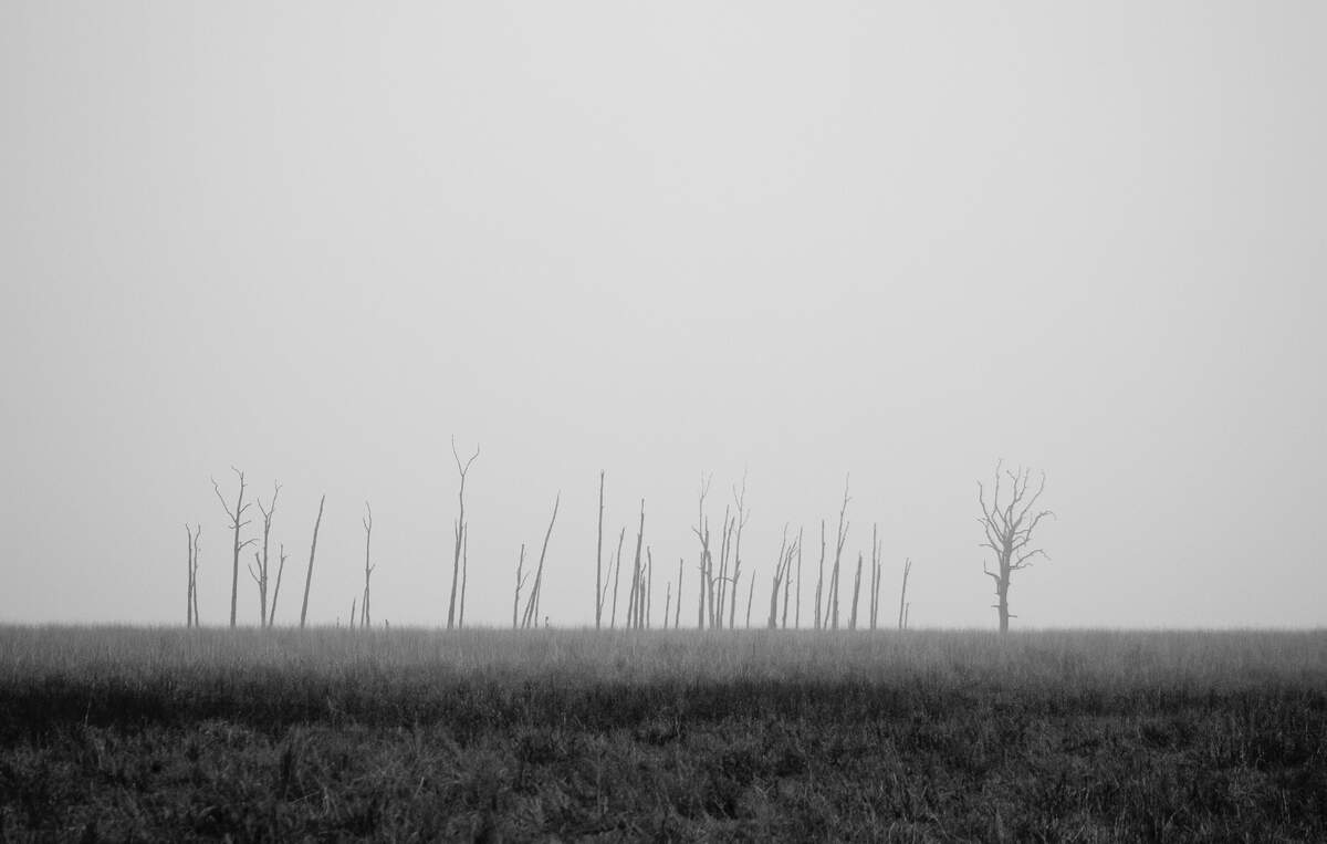 Photo : Abhay Vyas