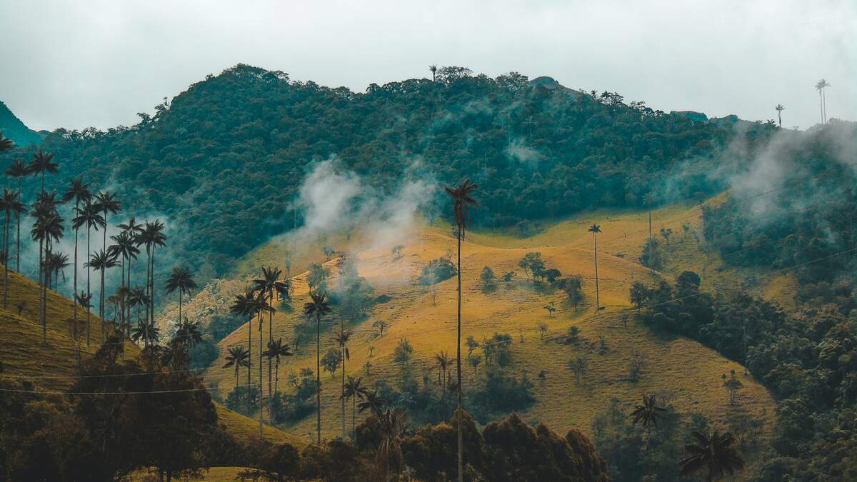 Photo : Fernanda Fierro via Unsplash 
