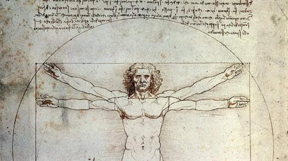 L’Homme de Vitruve de Léonard de Vinci, réalisé vers 1490 / Wikimedia