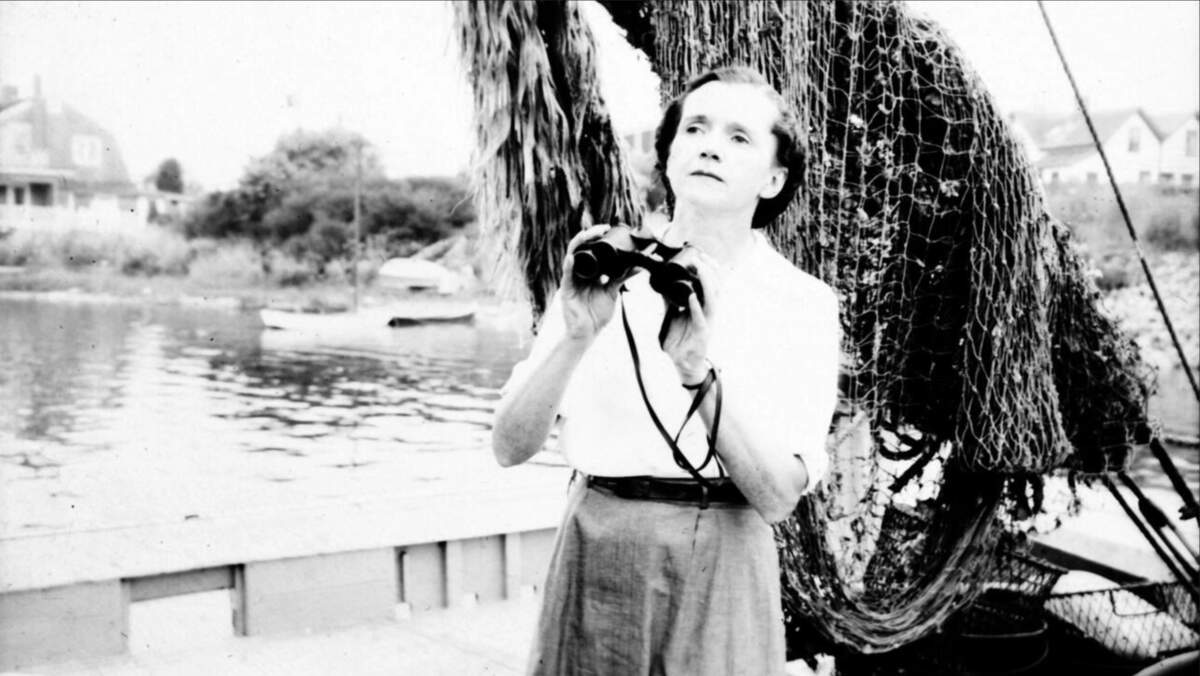 Dans les années 50, Rachel Carson enquête sur le terrain. © éditions Wildproject 