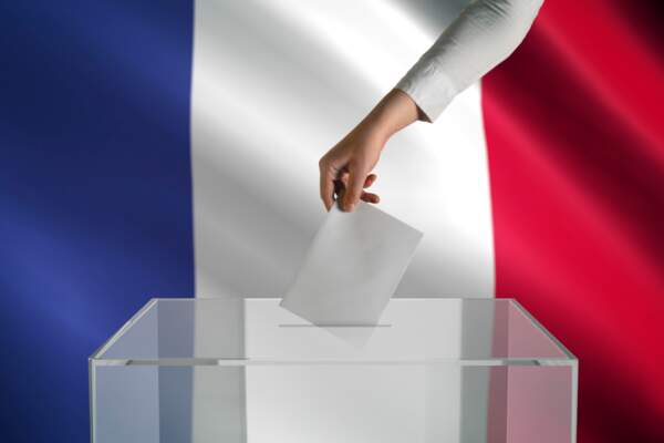 Les partis politiques : déliquescents et structurants