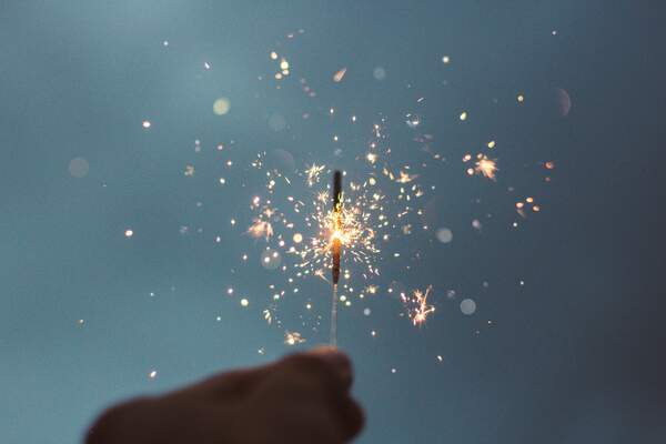 Le plaisir et la honte : des affects politiques
