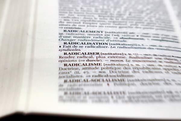 Aux sources de la radicalisation