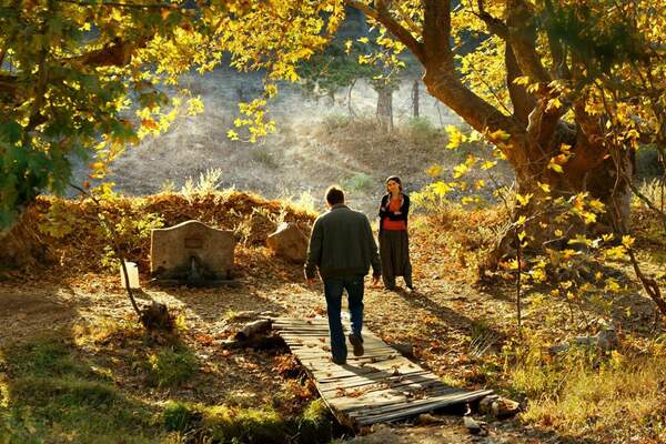 La foi du puisatier. A propos du Poirier sauvage de Nuri Bilge Ceylan et de Burning de Lee Chang-dong