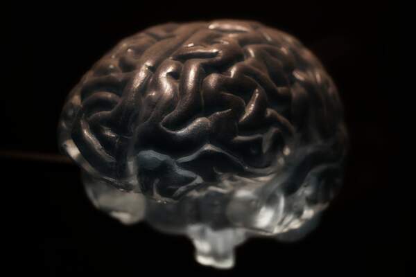 Se définir par son cerveau. La biologie de l’esprit comme forme de vie