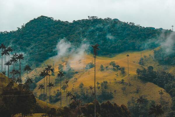 Guerre sale en Colombie