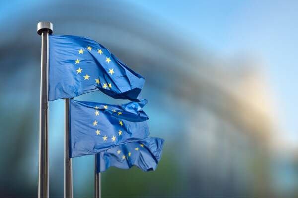 Aux urnes ! Élections européennes 2024