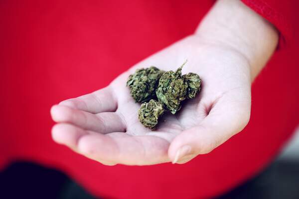 Cannabis : reprendre le contrôle