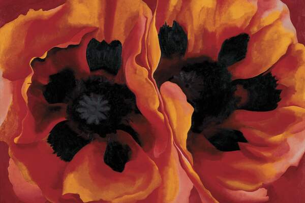 Ce que veut vraiment Georgia O’Keeffe