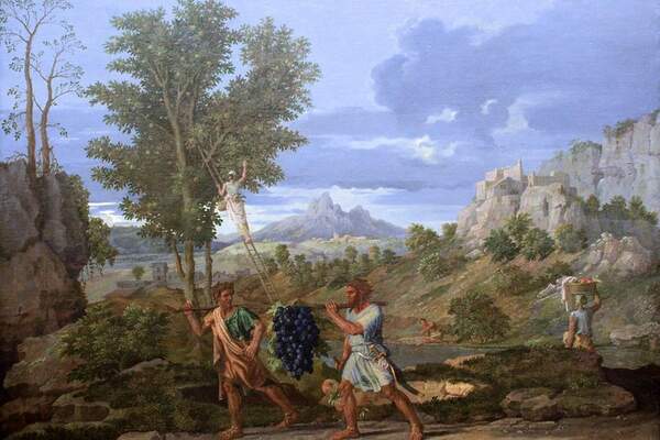 Les « territoires », un élément de langage