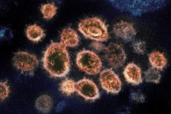 Sentinelles et lanceurs d’alerte. Premières leçons du coronavirus de Wuhan