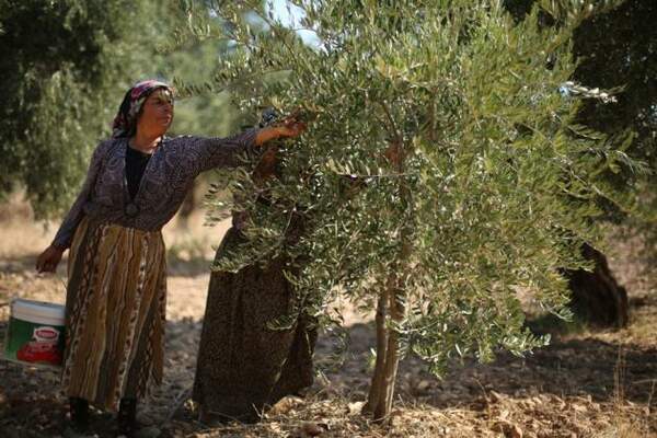 Reconstruire la Syrie ?