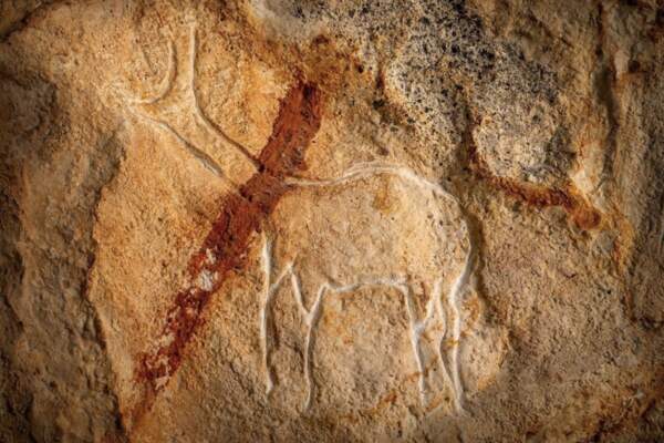Les paris risqués de la Grotte Cosquer