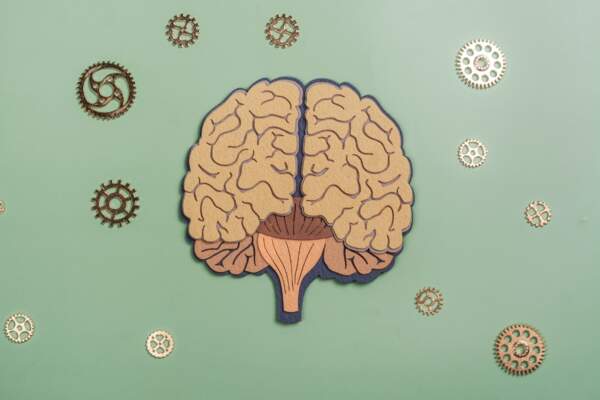 La santé mentale prise dans le langage des droits
