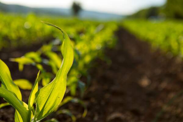 Agriculture : « Faire autrement »