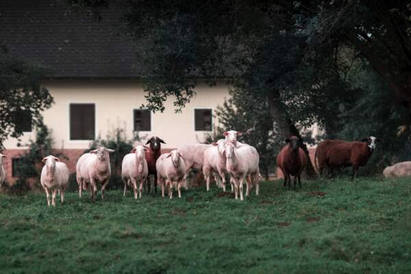 Le monde rural existe-t-il ?