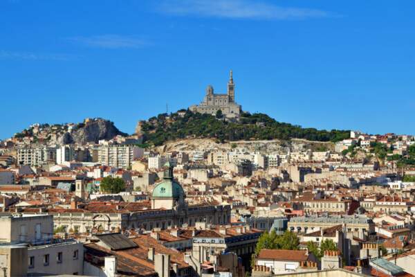 Des livres en milieu naturel