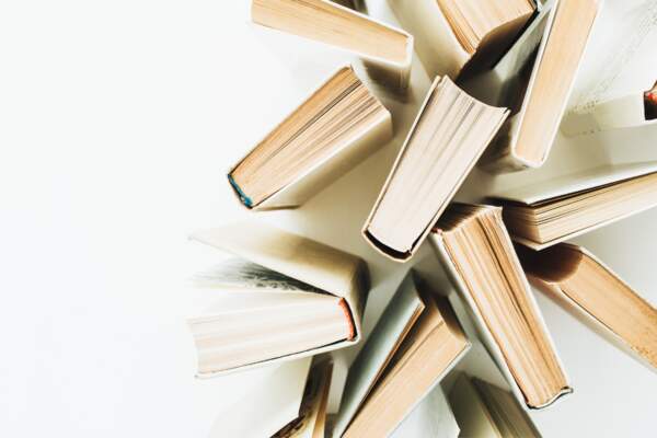 Politiques publiques du livre en France