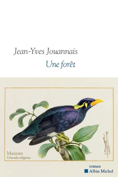 Une forêt de Jean-Yves Jouannais