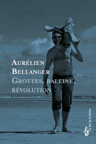 Grottes, baleine, révolution d’Aurélien Bellanger