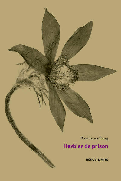 Herbier de prison (1915-1918) de Rosa Luxemburg