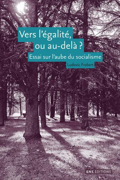 Vers l’égalité, ou au-delà ? Essai sur l’aube du socialisme de Ludovic Frobert