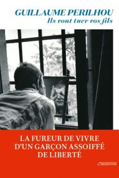 Ils vont tuer vos fils de Guillaume Perilhou