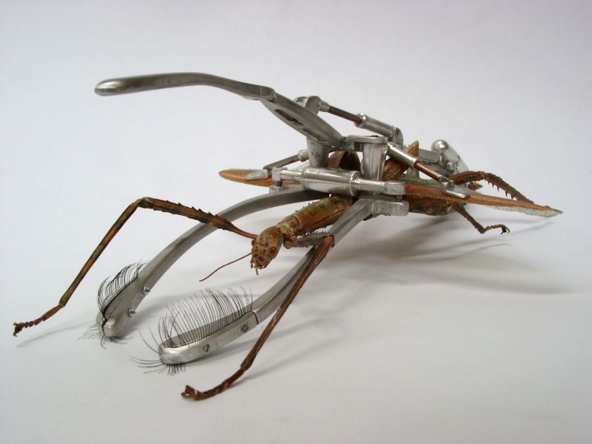 Nicolas Darrot. Dronecast, 2008, matériaux divers, 30x40x18, collection privée, France