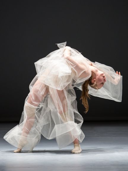 compagniemariechouinardsoftvirtuositystillhumidontheedge_c_NicolasRuel4