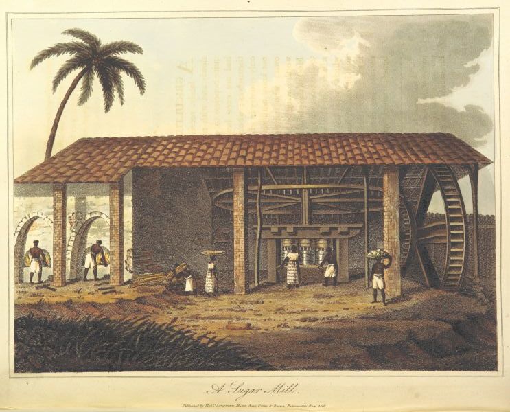 Raffinerie de sucre - Henry Koster's Travels in Brazil (London, 1816)