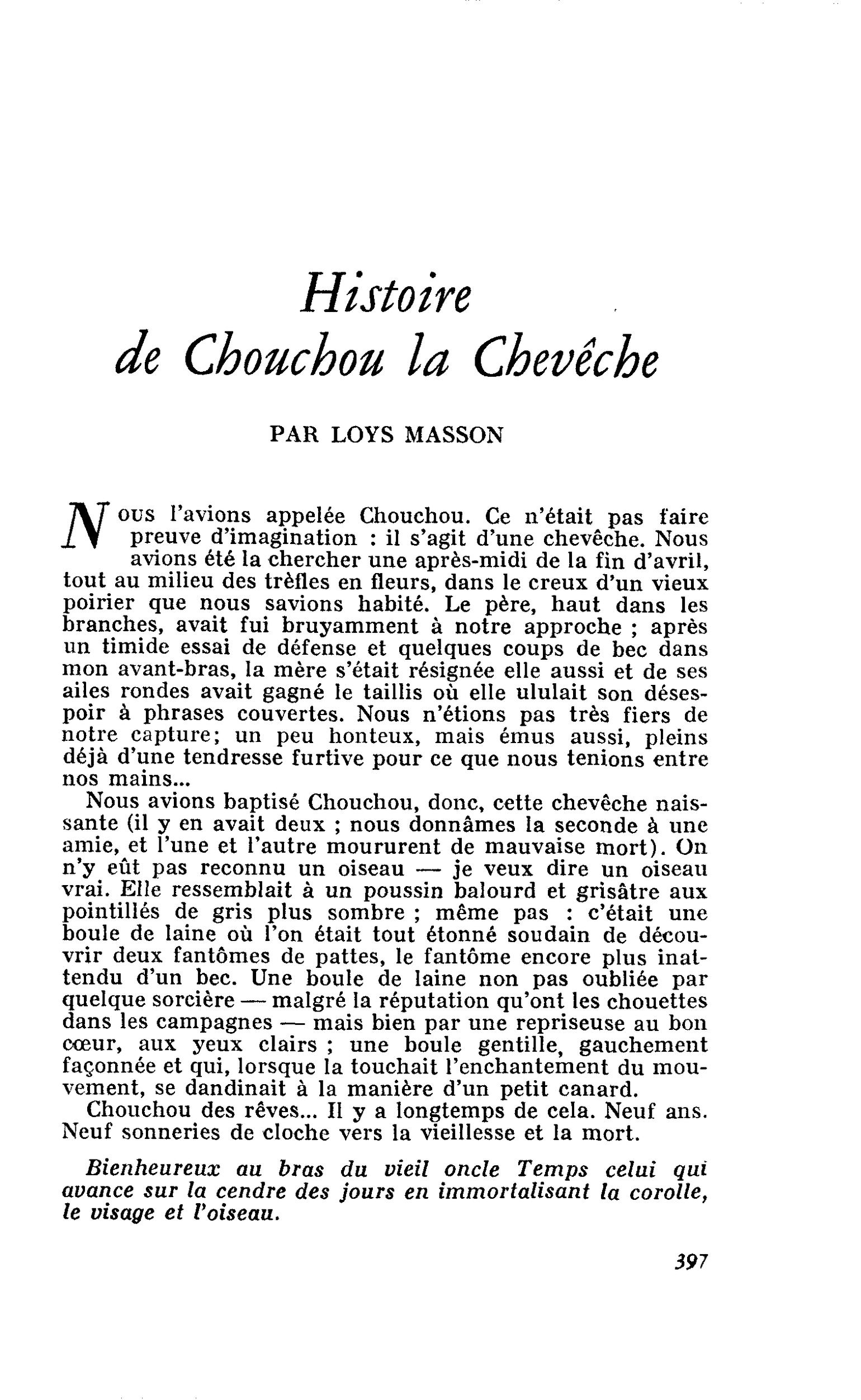 Histoire de Chouchou la Chevêche