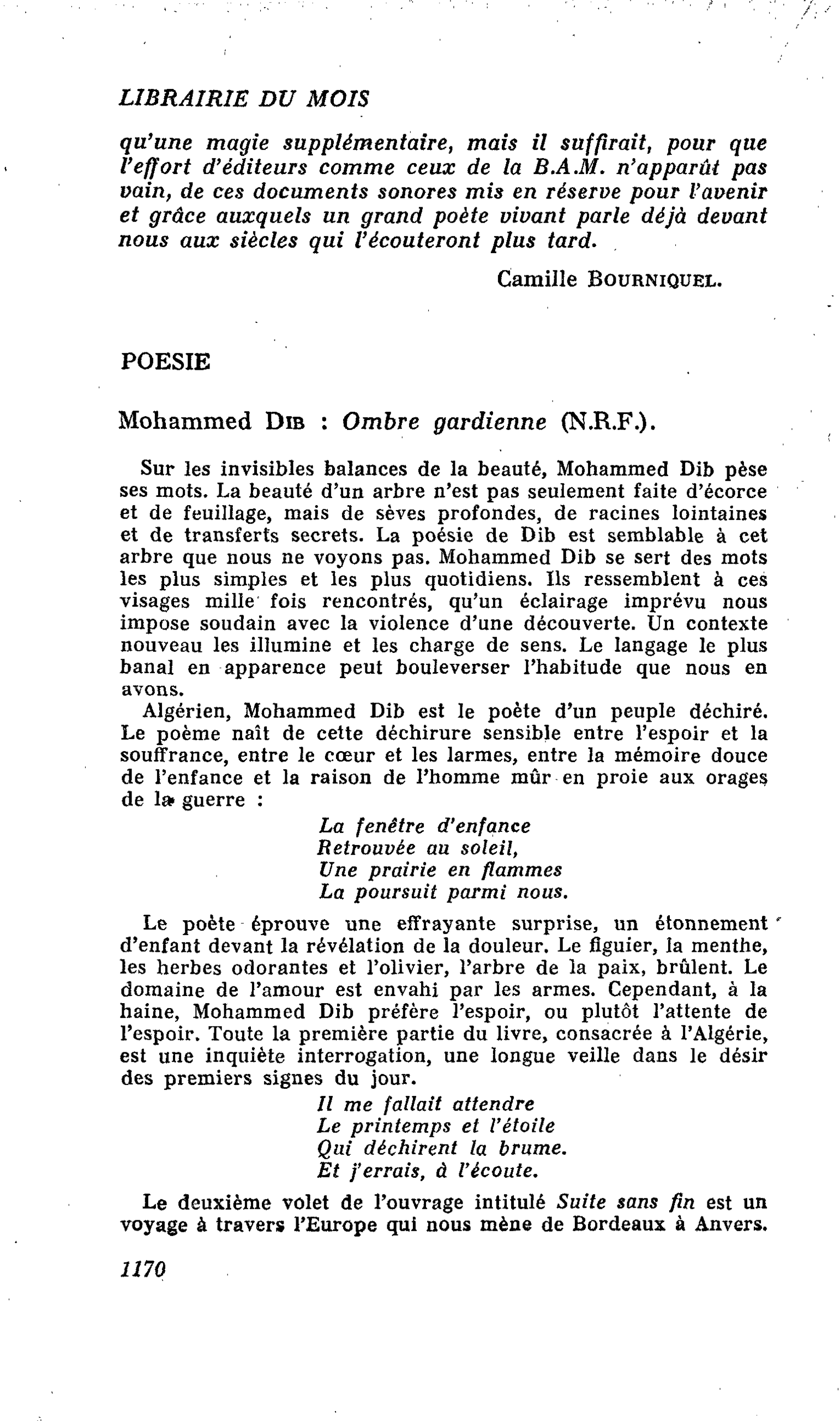 Mohammed dib : Ombre gardienne